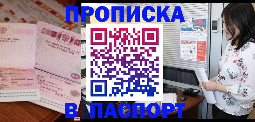прописка гарантия в Мончегорске
